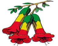Image 04