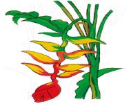 Image 06